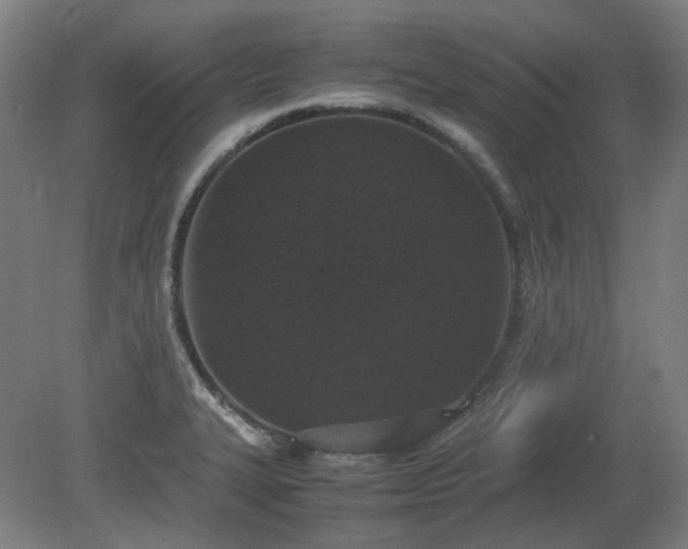 X0000081271327200701181707