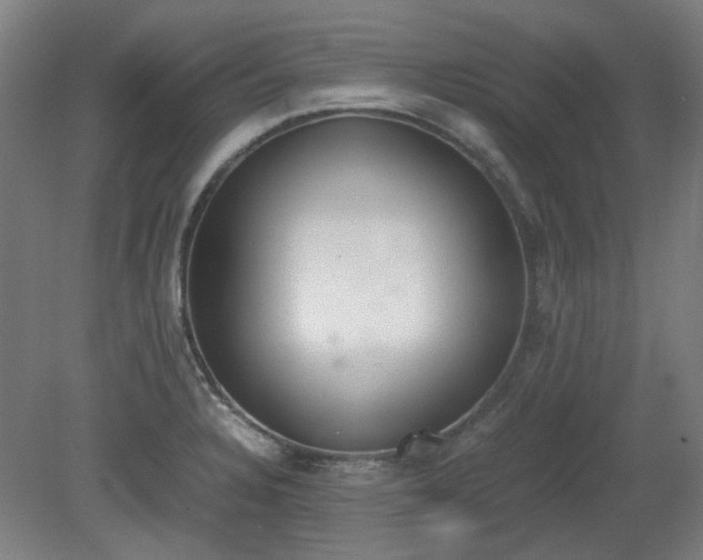 X0000081271328200701181707