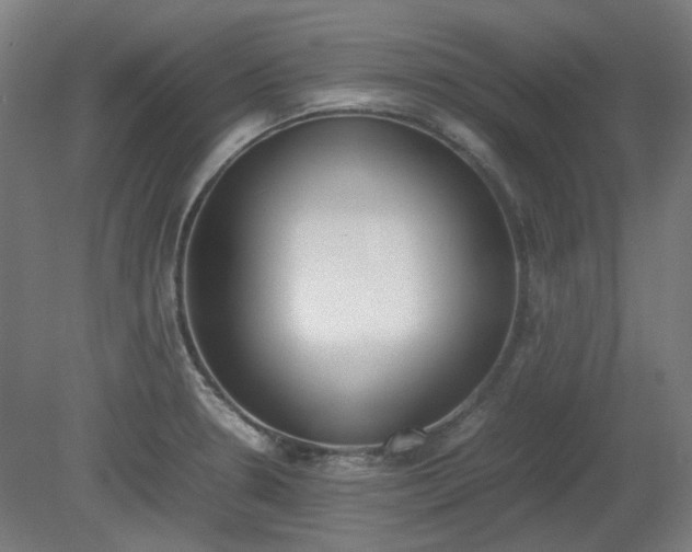 X0000081271330200701181707