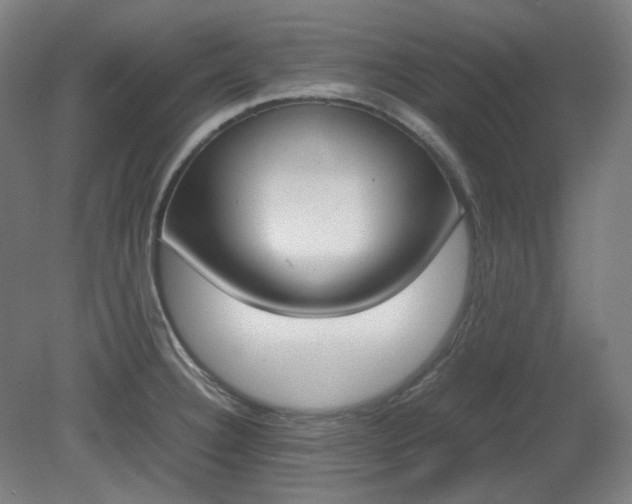 X0000081271332200701181707