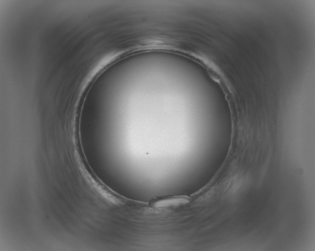 X0000081271333200701181707