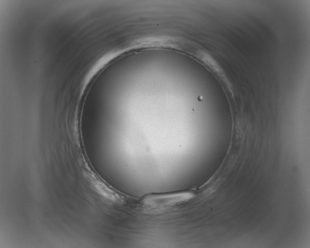 X0000081271336200701181707