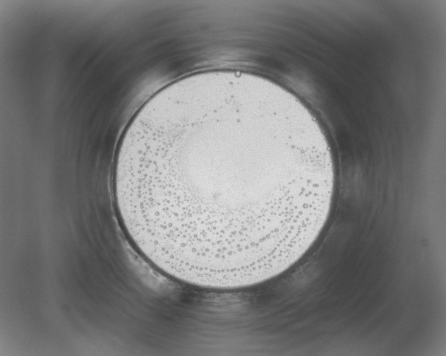 X0000081271338200701181707
