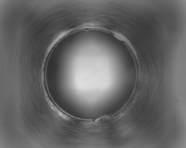 X0000081271341200701181707