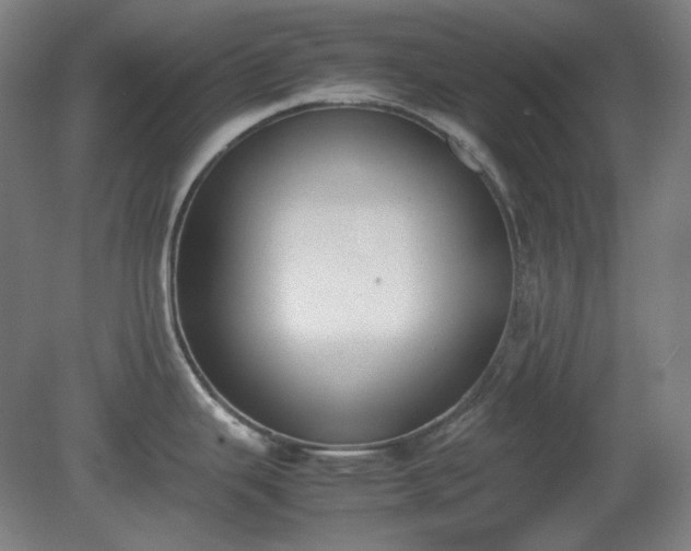 X0000081271343200701181707