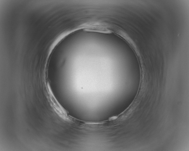 X0000081271344200701181707