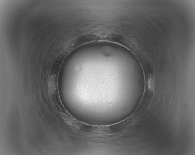 X0000081271347200701181706