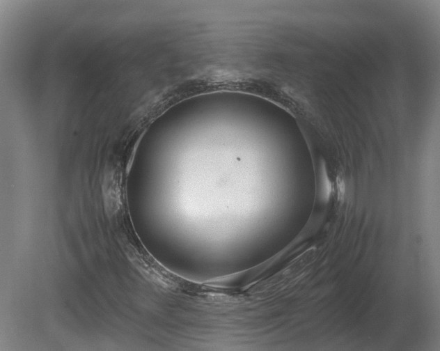 X0000081271348200701181706