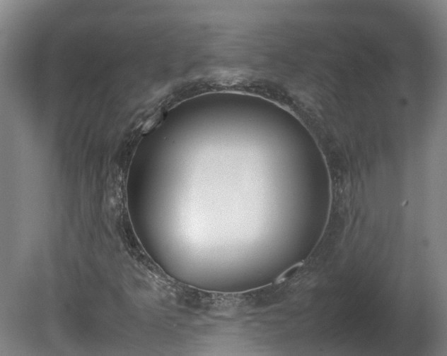X0000081271349200701181706