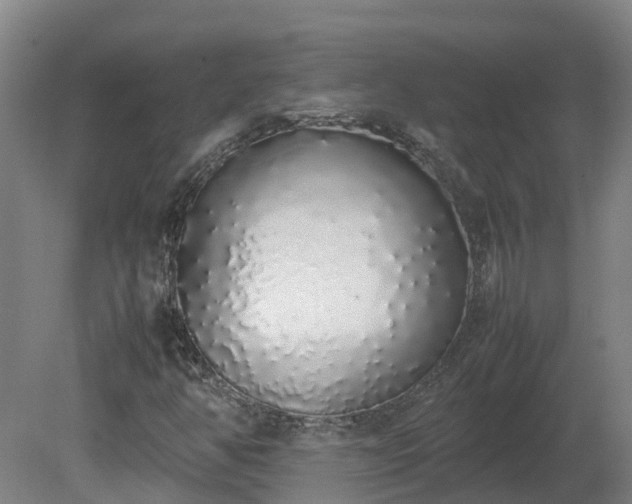X0000081271350200701181706