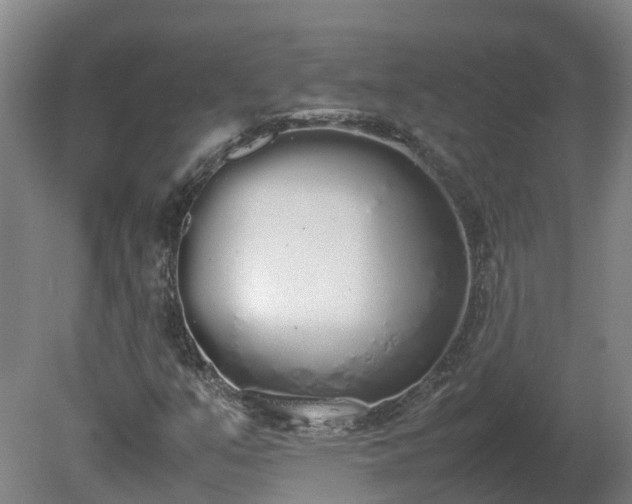 X0000081271351200701181706
