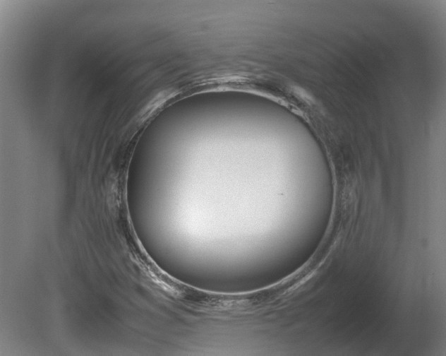 X0000081271353200701181706