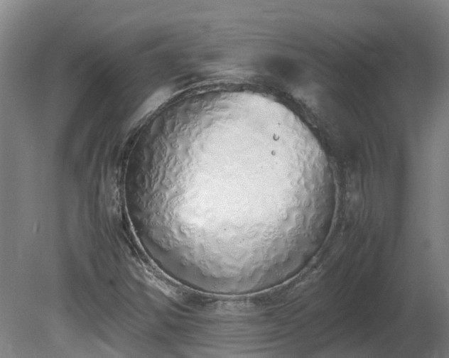 X0000081271354200701181706