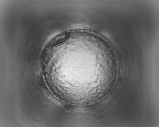 X0000081271358200701181706