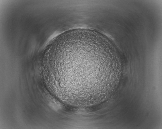 X0000081271359200701181706
