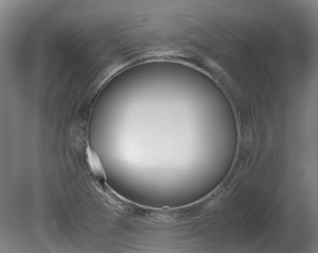 X0000081271361200701181706