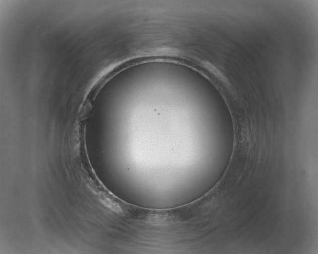X0000081271364200701181706