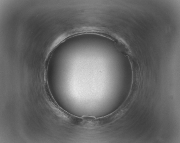 X0000081271365200701181706