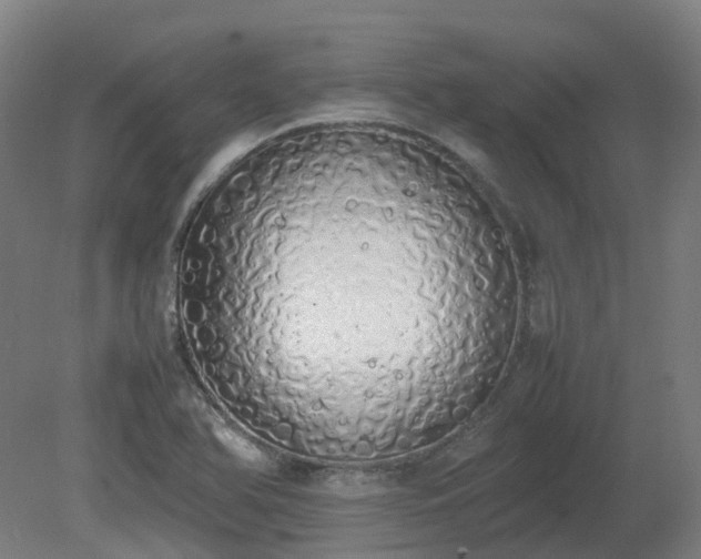 X0000081271366200701181706