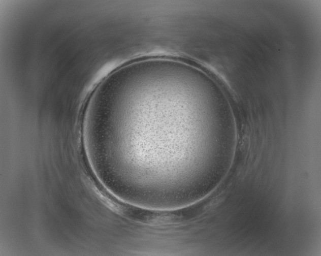 X0000081271367200701181706