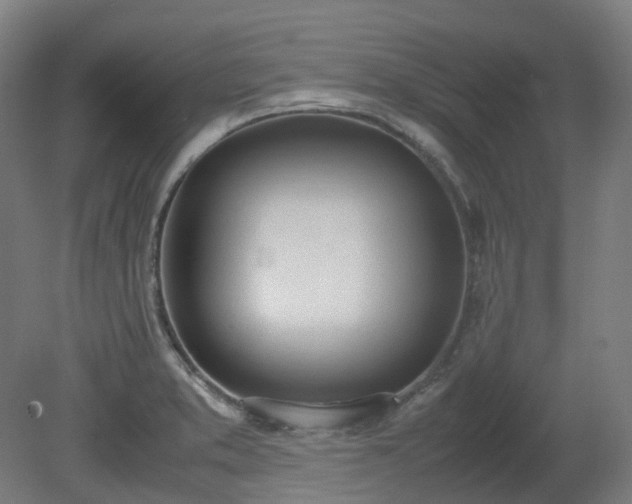 X0000081271373200701181706