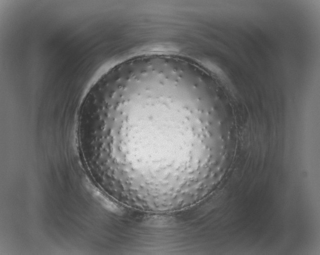 X0000081271374200701181706