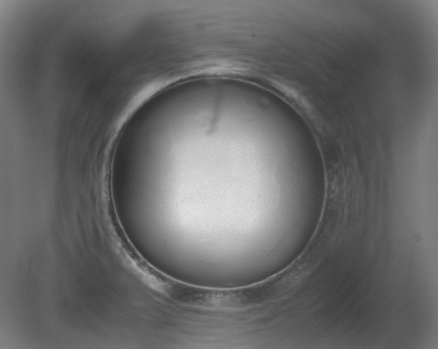 X0000081271375200701181706