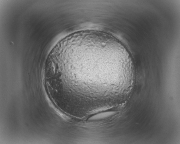 X0000081271383200701181705