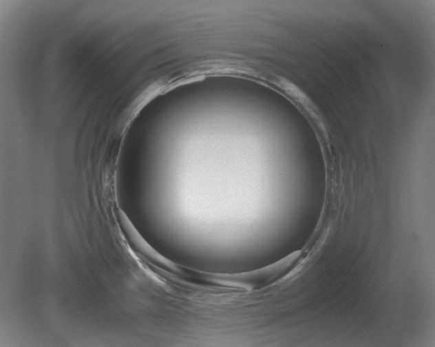 X0000081271385200701181705