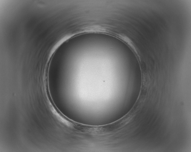 X0000081271387200701181705