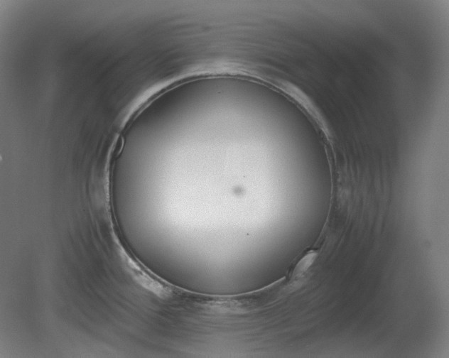 X0000081271388200701181705
