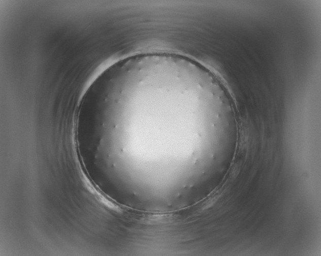 X0000081271390200701181705