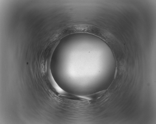 X0000081271394200701181705