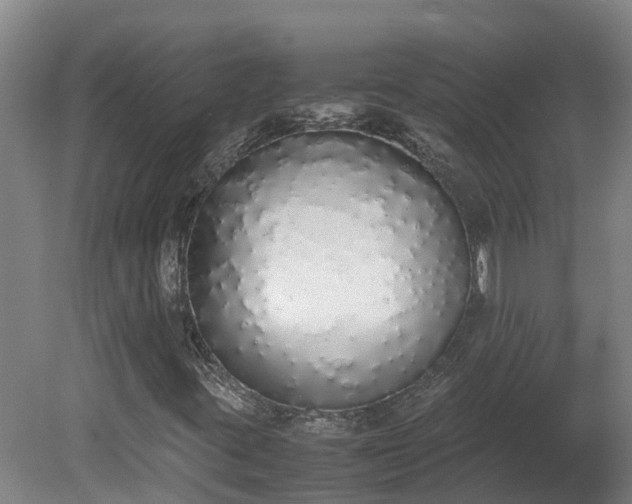 X0000081271395200701181705