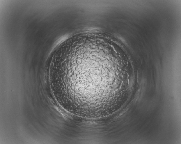 X0000081271405200701181705