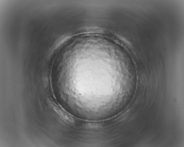 X0000081271407200701181705