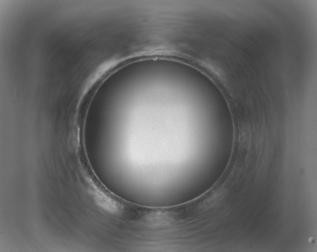 X0000081271414200701181705