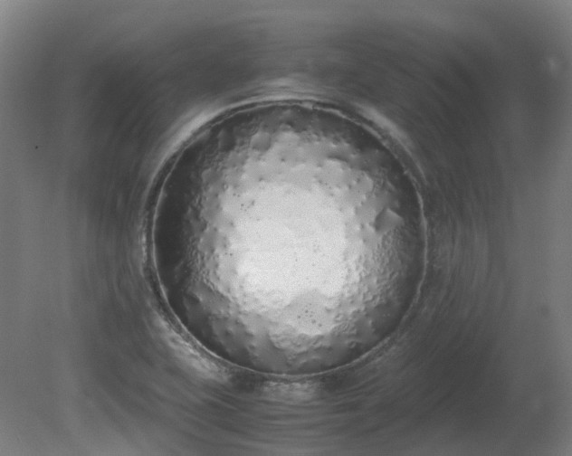 X0000081271415200701181705