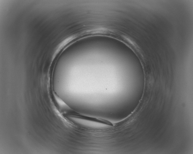 X0000081271418200701181705