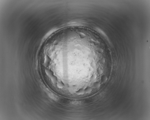 X0000081271419200701181705