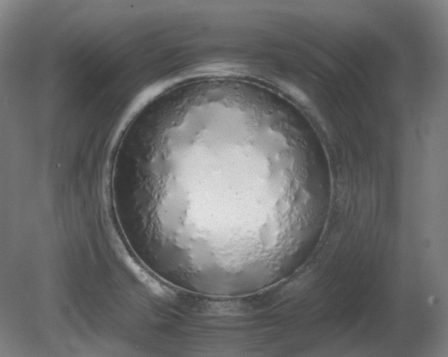 X0000081271421200701181705