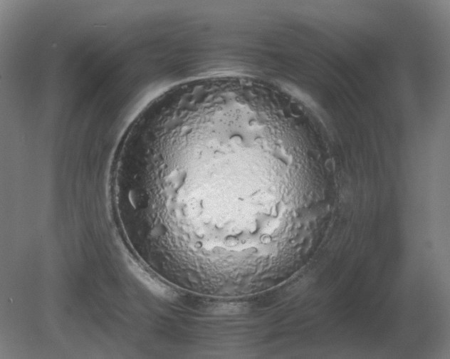 X0000081271423200701181705