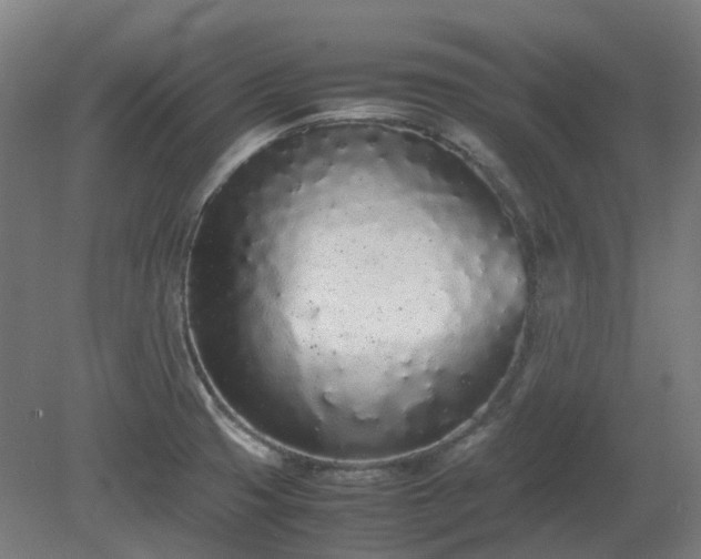 X0000081271425200701181705