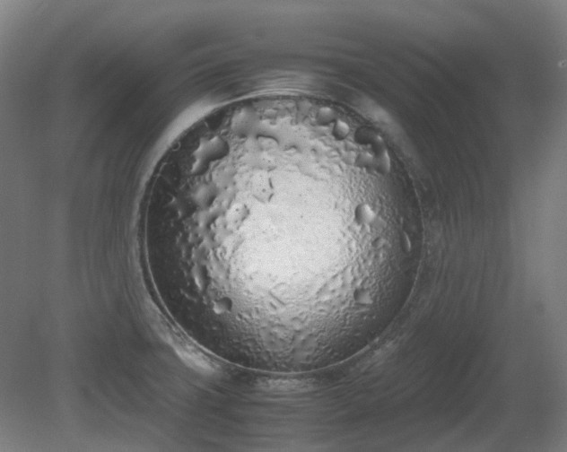 X0000081271427200701181705