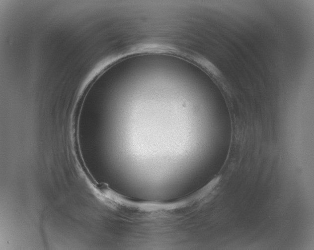 X0000081271430200701181705