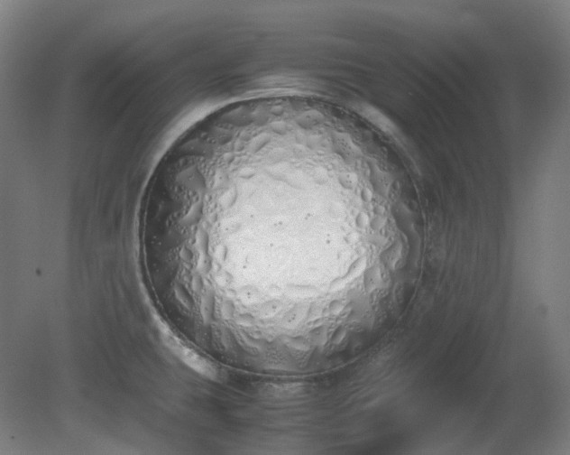 X0000081271431200701181705