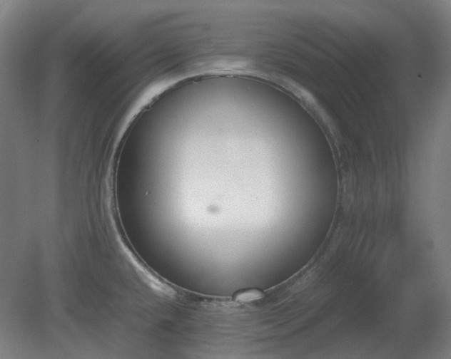 X0000081271432200701181705