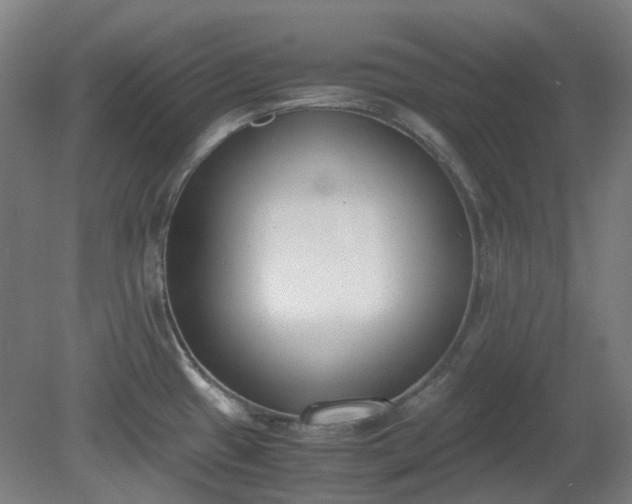 X0000081271433200701181705