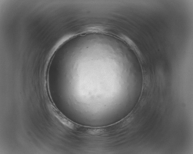 X0000081271435200701181705