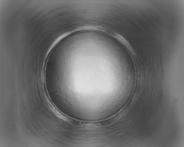 X0000081271436200701181705
